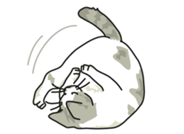 Cat on an empty stomach2 sticker #8040091