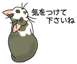 Cat on an empty stomach2 sticker #8040092