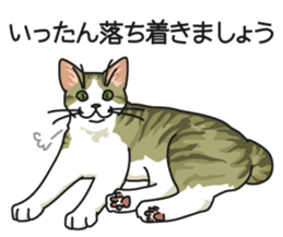 Cat on an empty stomach2 sticker #8040094
