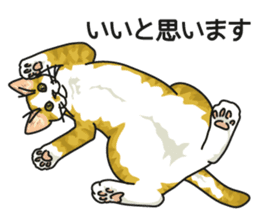 Cat on an empty stomach2 sticker #8040097