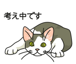 Cat on an empty stomach2 sticker #8040098