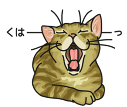 Cat on an empty stomach2 sticker #8040102