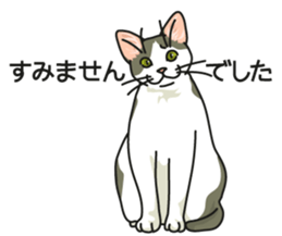 Cat on an empty stomach2 sticker #8040104