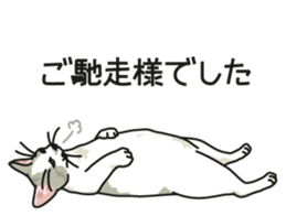 Cat on an empty stomach2 sticker #8040105