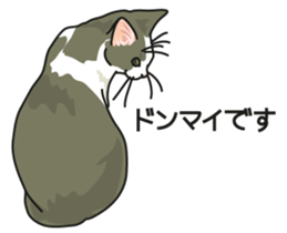 Cat on an empty stomach2 sticker #8040109