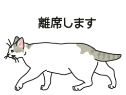 Cat on an empty stomach2 sticker #8040110