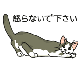 Cat on an empty stomach2 sticker #8040111