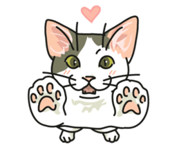 Cat on an empty stomach2 sticker #8040112