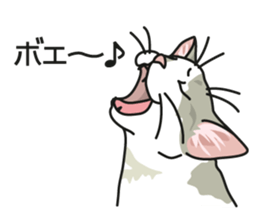 Cat on an empty stomach2 sticker #8040113