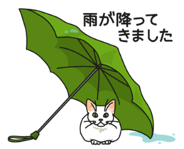 Cat on an empty stomach2 sticker #8040114