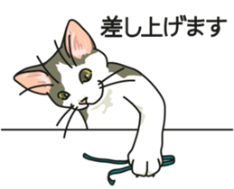 Cat on an empty stomach2 sticker #8040115