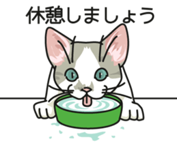 Cat on an empty stomach2 sticker #8040116