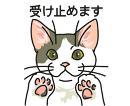 Cat on an empty stomach2 sticker #8040117