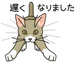 Cat on an empty stomach2 sticker #8040118