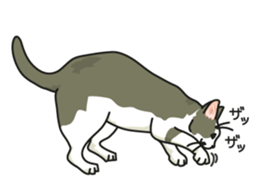 Cat on an empty stomach2 sticker #8040120