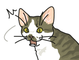 Cat on an empty stomach2 sticker #8040122