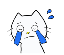 play with cat sticker #8043497