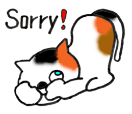 Tortoiseshell Kitten - ENGLISH sticker #8044125