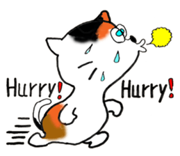 Tortoiseshell Kitten - ENGLISH sticker #8044129