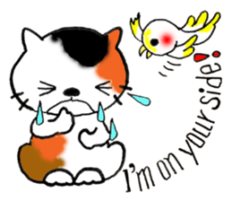 Tortoiseshell Kitten - ENGLISH sticker #8044133