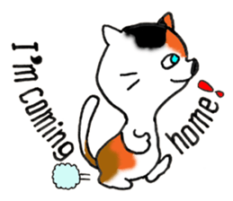 Tortoiseshell Kitten - ENGLISH sticker #8044135