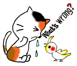 Tortoiseshell Kitten - ENGLISH sticker #8044139