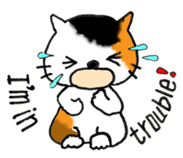 Tortoiseshell Kitten - ENGLISH sticker #8044148
