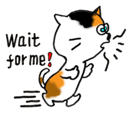 Tortoiseshell Kitten - ENGLISH sticker #8044150