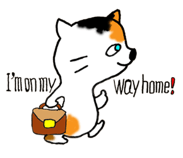 Tortoiseshell Kitten - ENGLISH sticker #8044154