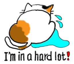 Tortoiseshell Kitten - ENGLISH sticker #8044158