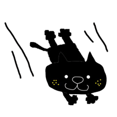 Kurosuke of Black cat