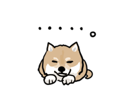 Shiba Inu Taro sticker #8048972