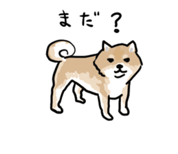 Shiba Inu Taro sticker #8048975