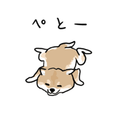 Shiba Inu Taro sticker #8048977