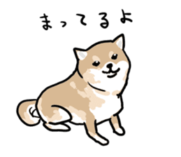 Shiba Inu Taro sticker #8048980
