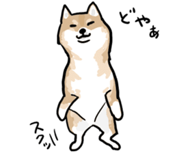 Shiba Inu Taro sticker #8048981