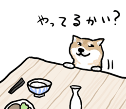 Shiba Inu Taro sticker #8048982