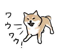 Shiba Inu Taro sticker #8048983
