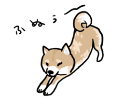 Shiba Inu Taro sticker #8048984