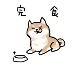 Shiba Inu Taro sticker #8048985