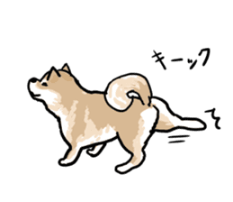 Shiba Inu Taro sticker #8048986