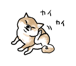 Shiba Inu Taro sticker #8048988