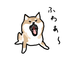 Shiba Inu Taro sticker #8048990