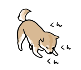 Shiba Inu Taro sticker #8048991