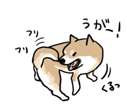Shiba Inu Taro sticker #8048993