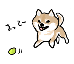 Shiba Inu Taro sticker #8048995