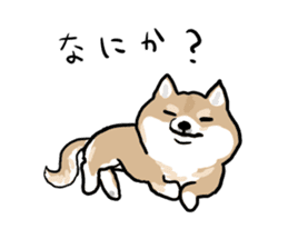 Shiba Inu Taro sticker #8048996