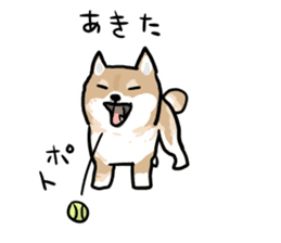 Shiba Inu Taro sticker #8049001