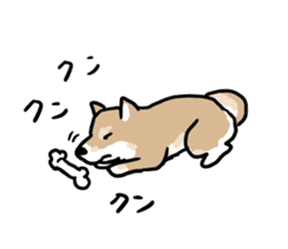 Shiba Inu Taro sticker #8049003