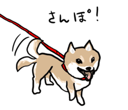 Shiba Inu Taro sticker #8049004